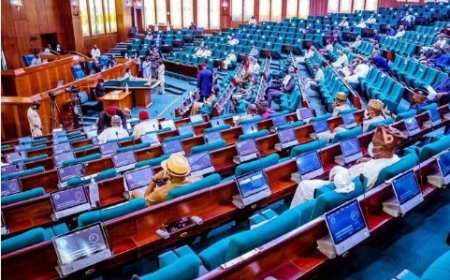 Money laundering amendment bill scales second reading in House of Reps