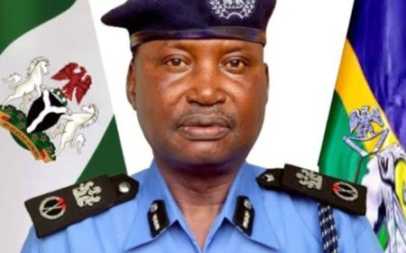 Police dismiss viral video of bandits in Jigawa as fake