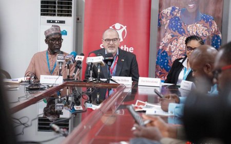 96,000 Nigerian children at risk of death from malnutrition – Forum