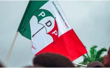 Court stops PDP convention, cites breach of rules