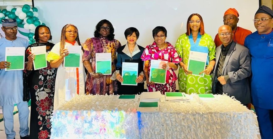 NAFDAC gives Nigerian food companies 18 months to cut trans fats