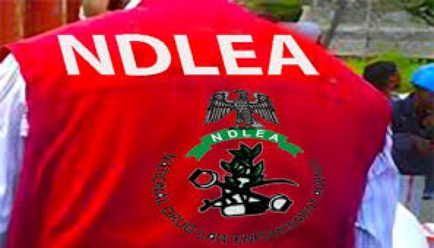 Residents panic as NDLEA officers chase driver