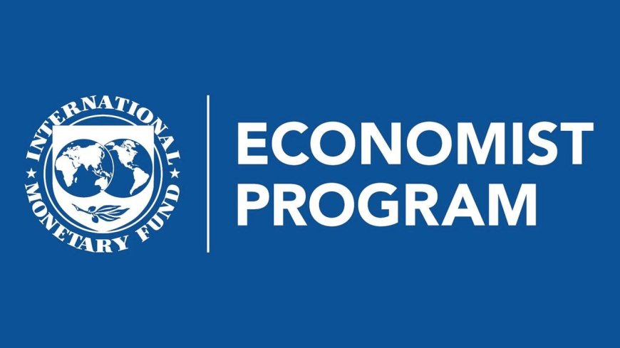 2026 IMF Economist Program (International Monetary Fund) in USA | How To Apply