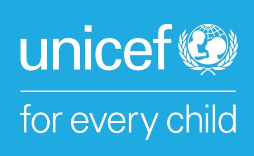 UNICEF donates ICT equipment to Sokoto for social protection