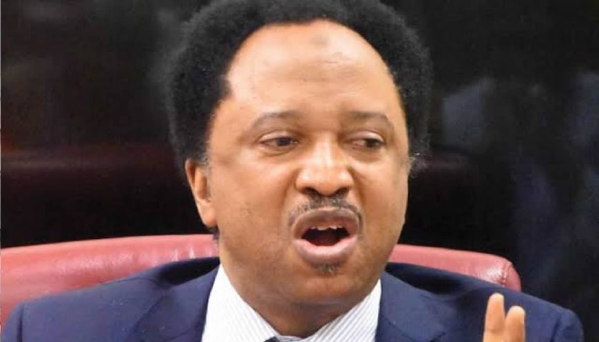 Secondary school certificate enough for political office – Shehu Sani