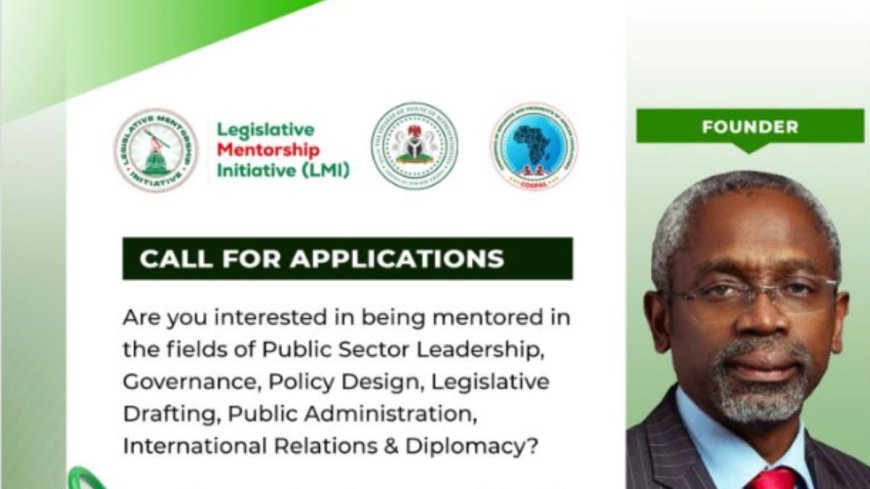 Gbajabiamila Legislative Mentorship Initiative (LMI) Fellowship For Nigerians 2025 | Fully Funded