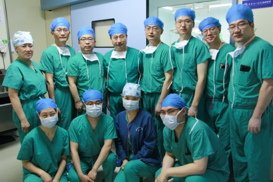 Surgeons perform world’s first pig-to-human liver transplant