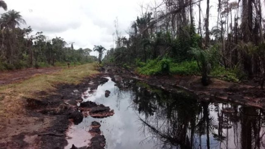 Oil spill pollutes Bayelsa communities
