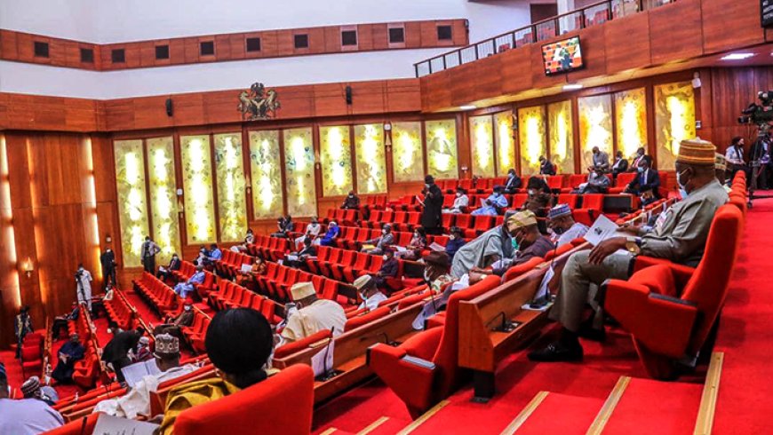 Senate gives Edun, Bagudu two weeks to present 2024 budget performance report