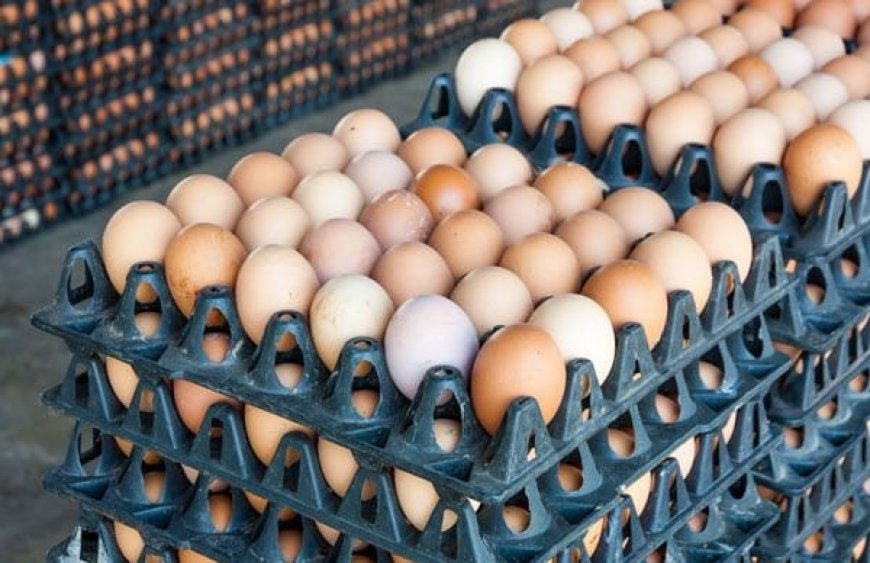 Egg sellers deny hiking prices, blame poultry farmers