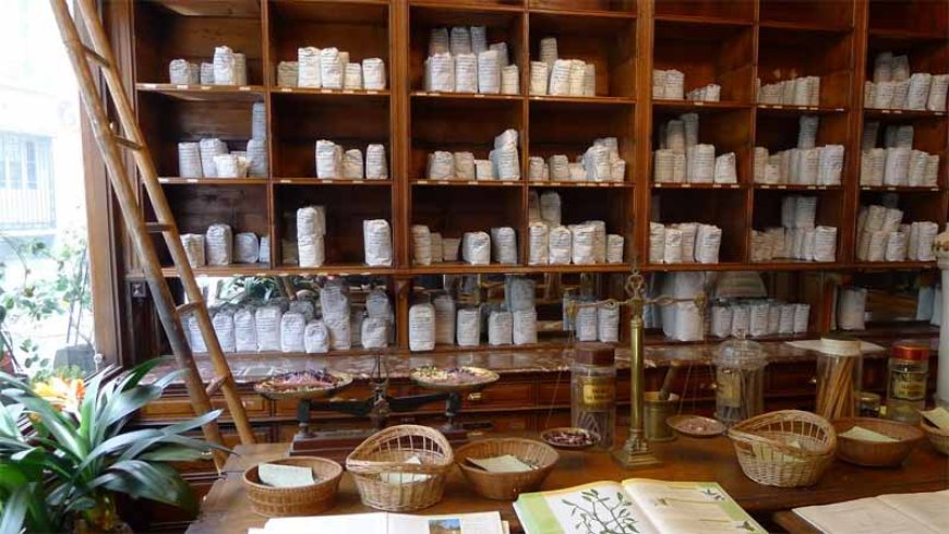 NAFDAC demands clinical trials to approve herbal products