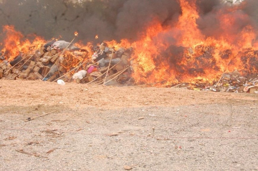 NDLEA destroys 8,000 kg of illicit drugs in Yobe