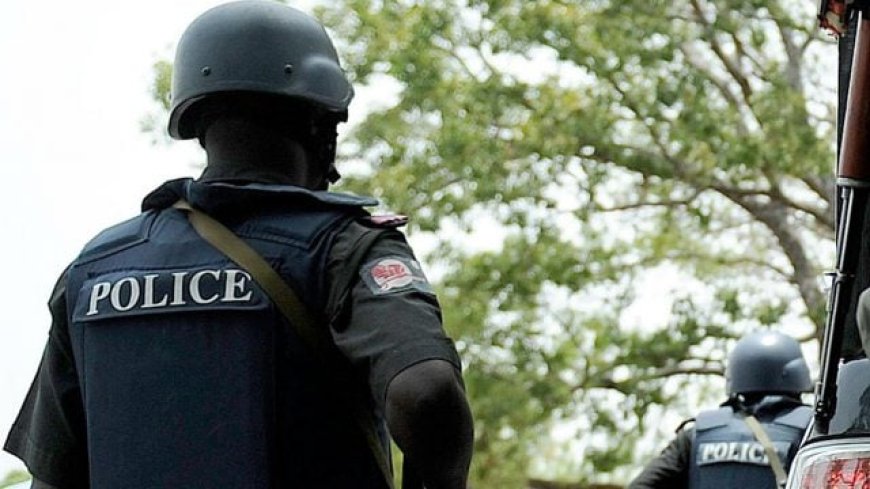 Police arrest suspected Rivers car snatcher in viral video