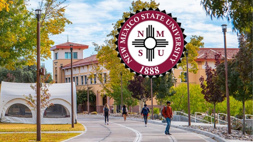 New Mexico State University Scholarship in USA 2026 | Fully Funded
