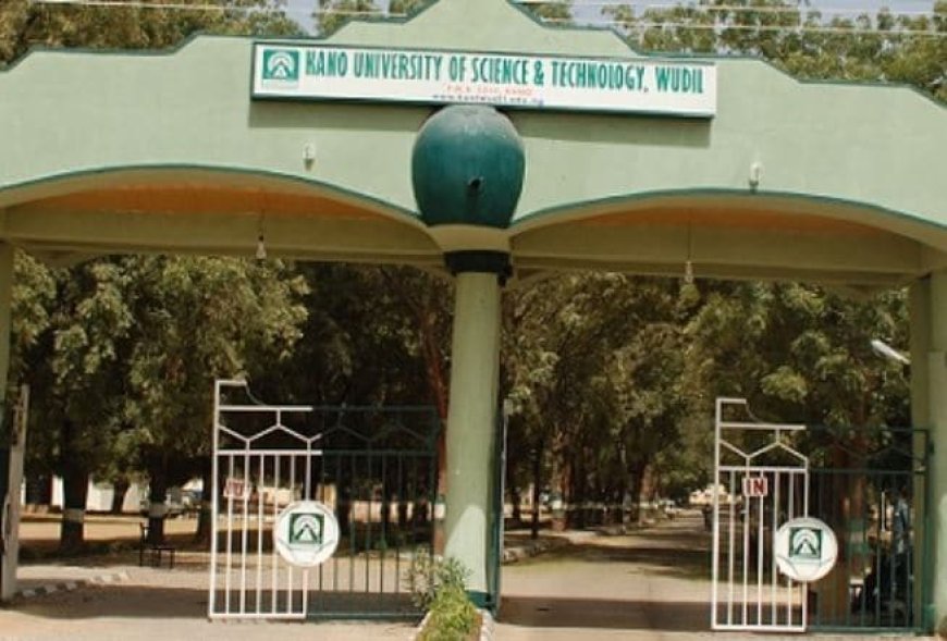Kano varsity expels 34 students, suspends 13 for exam malpractice