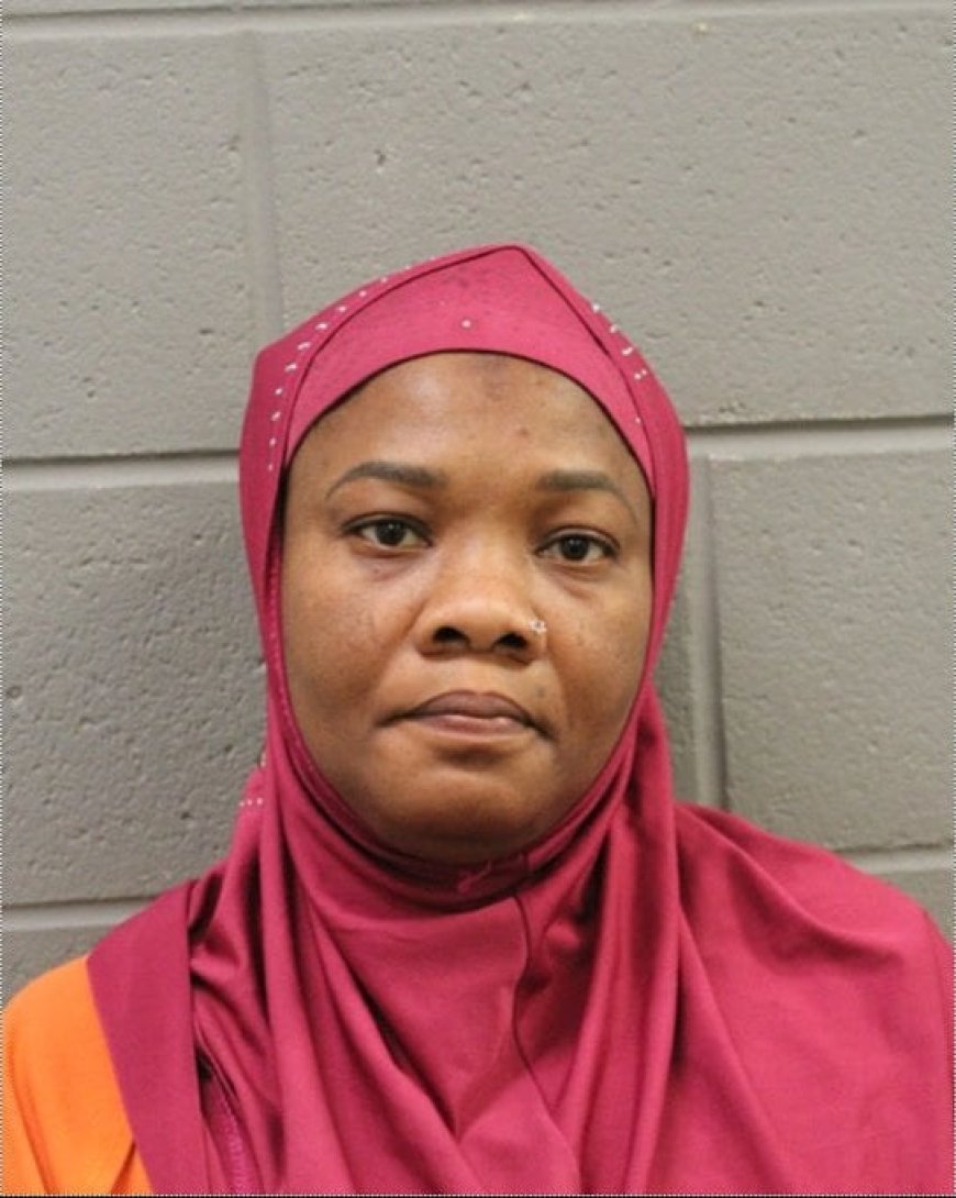 US-based Nigerian woman arrested for murder after daughter’s death in hot car
