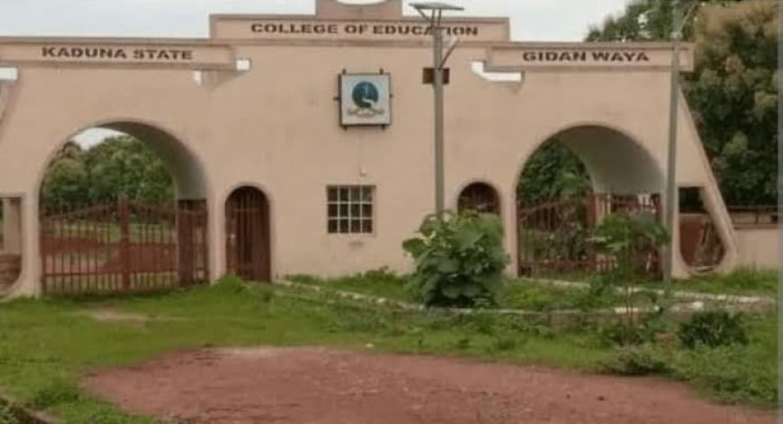 Kaduna college of education lecturers suspend strike action