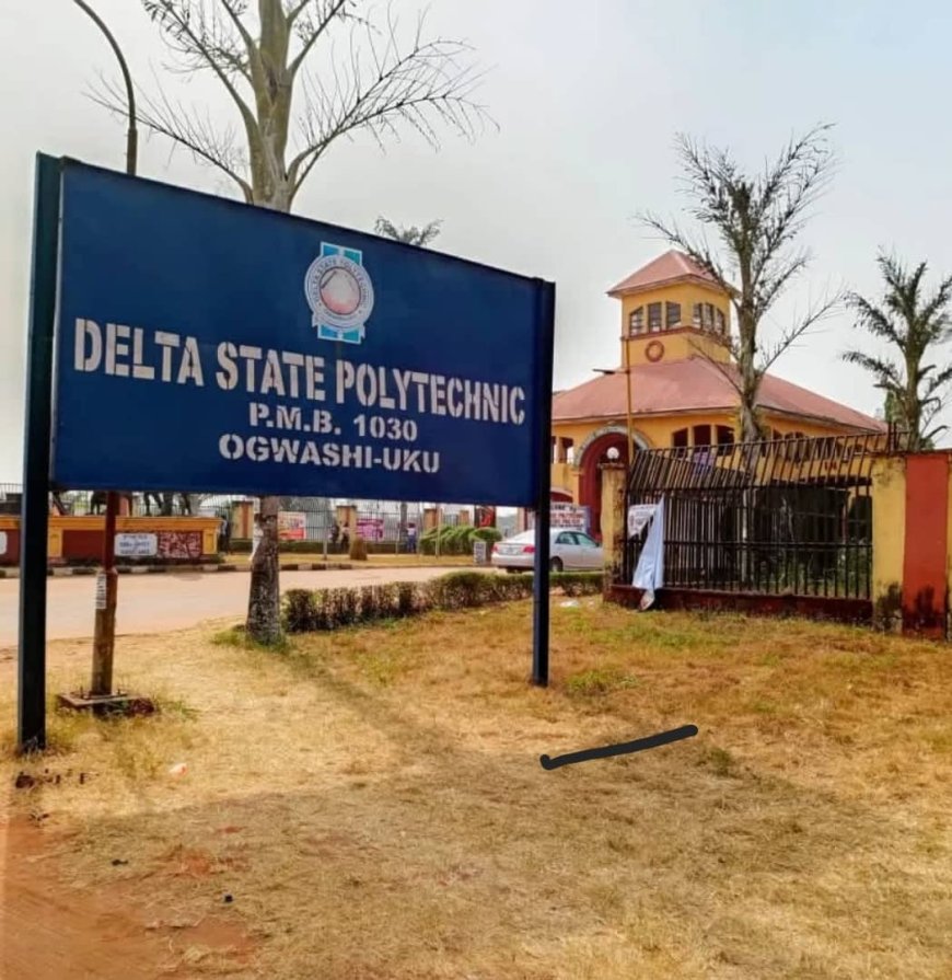 Alleged certificates racketeering in Delta Polytechnic under investigation — Governing Council