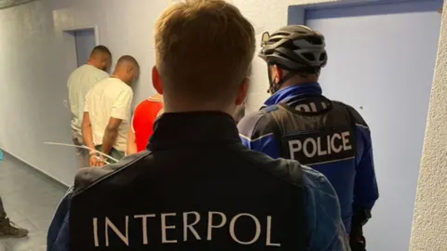 INTERPOL arrests 11 terror suspects in Nigeria