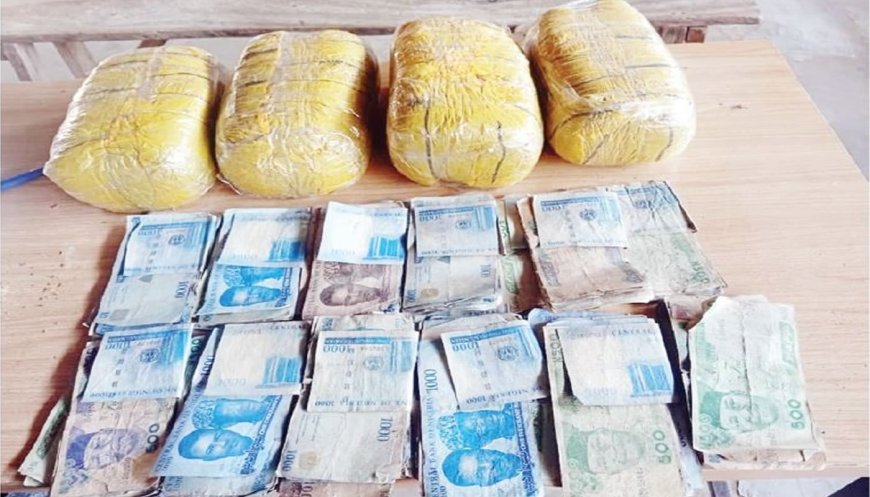 Police arrest three, seize N400,000 in Jigawa drug raid