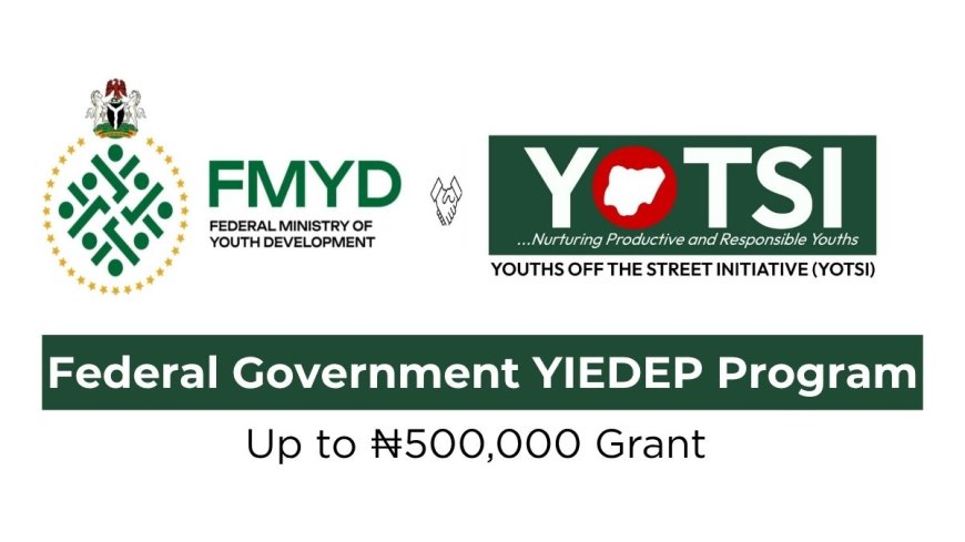 Federal Government YIEDEP Registration Portal (Up to ₦500,000 Grant)