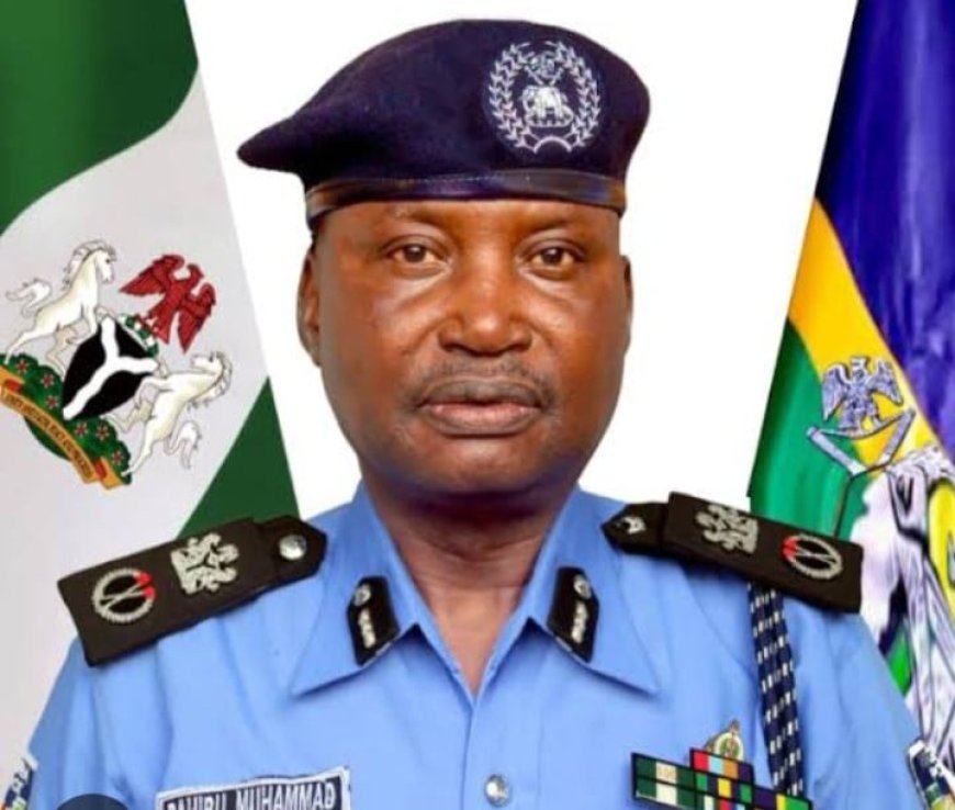 Police dismiss viral video of bandits in Jigawa as fake