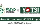 Federal Government YIEDEP Registration Portal (Up to ₦500,000 Grant)