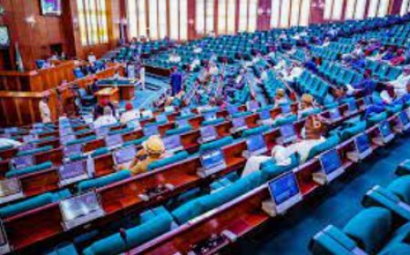 Reps propose N3,500 daily wage for unskilled labour