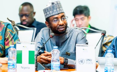 NITDA boss urges regional cooperation to achieve digital sovereignty