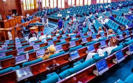 Reps suspend plenary for one week over unpaid contractors’ protest