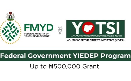 Federal Government YIEDEP Registration Portal (Up to ₦500,000 Grant)