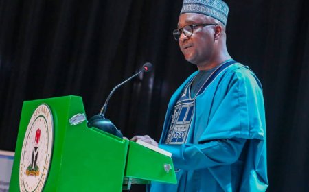 Abbas seeks China’s support for Nigeria’s UN Security council bid