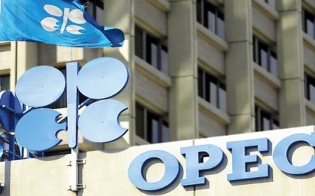 Stop exporting crude, OPEC tells Nigerian producers