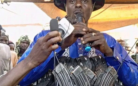 Bandits kill 2 elders, abduct many in fresh Katsina attack