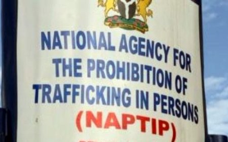 NAPTIP rescues 221 victims of human trafficking in Jigawa