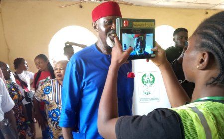 AnambraDecides2025: Labour Party candidate votes, alleges vote buying