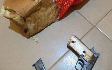 Police arrest suspected robber with pistol hidden inside bread in Delta 