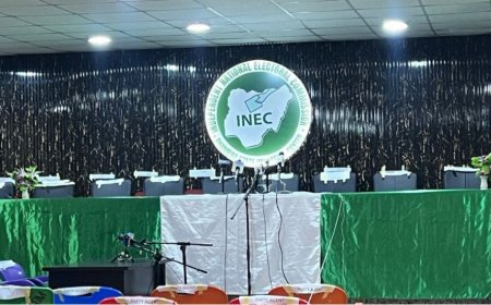 INEC adjourns collation of Anambra gov election results, to resume 6am