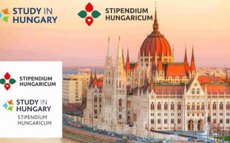 2026 Stipendium Hungaricum Scholarships for International Students in Hungary | Fully Funded