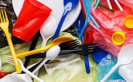 FG inaugurates committee to enforce single-use plastics ban