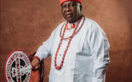 Delta kingdom to crown SAN as monarch
