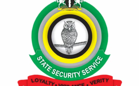 DSS files charges against social media user who called for coup