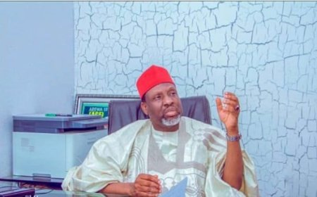 Kano lawmaker quits NNPP over leadership crisis