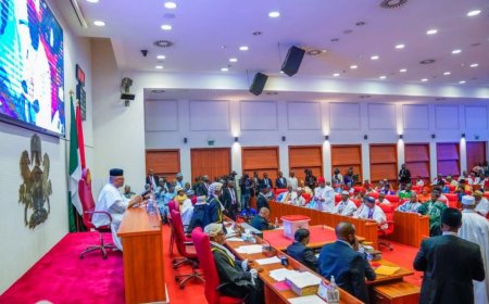 Senate approves Tinubu’s N1.15tn domestic loan to fill 2025 budget gap