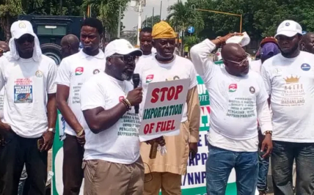 Yoruba council, groups back Tinubu’s economic agenda, seek total ban on fuel imports