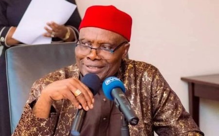 PDP crisis self-inflicted, but convention will proceed — Wabara