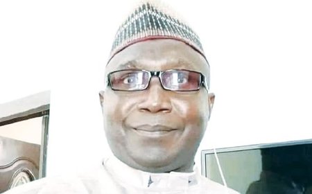 It’s not shameful asking US for help – Security expert