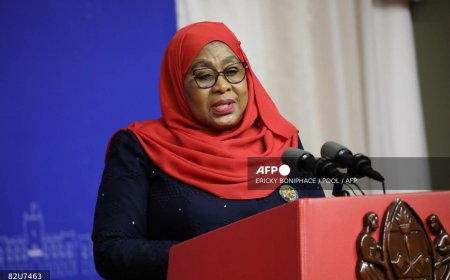 Tanzania’s president orders probe into post-election violence