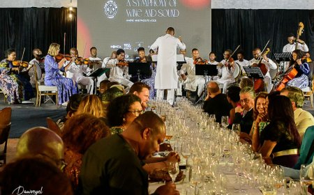 The Wine Club Lagos hosts symphony of wine, music in multisensory first