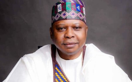 Ex-minister Turaki emerges PDP national chairman